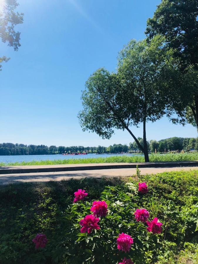 Ezeru Gleby Hotel Зарасай Екстериор снимка